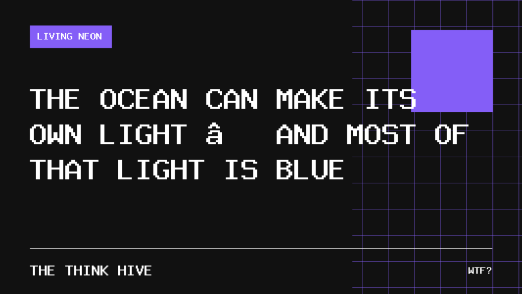 The Ocean Can Make Its Own Light — and Most of That Light Is Blue